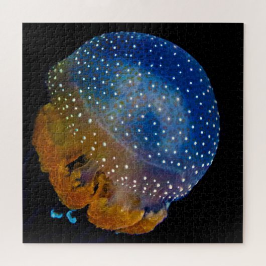 Jelly Fish Legpuzzel (Horizontaal)