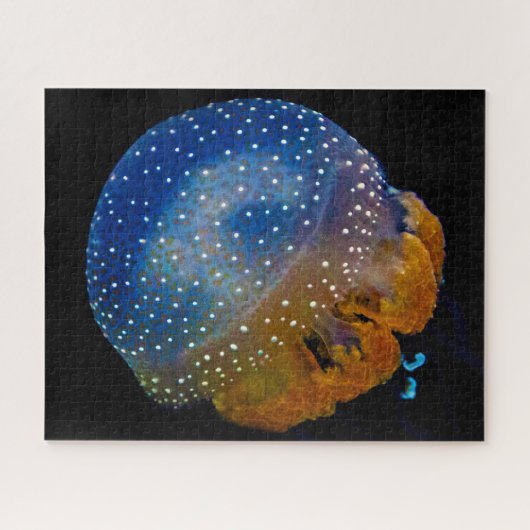 Jelly Fish Legpuzzel (Horizontaal)