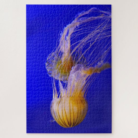 Jelly Fish Legpuzzel (Verticaal)