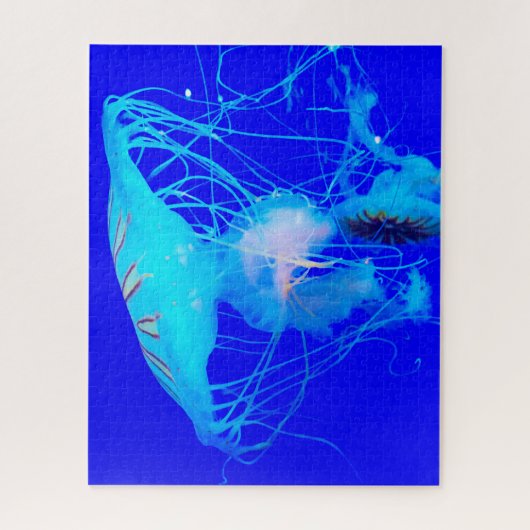 Jelly Fish Legpuzzel (Verticaal)