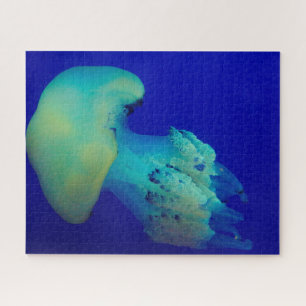 Jelly Fish Legpuzzel