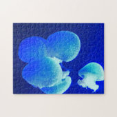 Jelly Fish. Legpuzzel (Horizontaal)