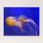 Jelly Fish Legpuzzel (Horizontaal)