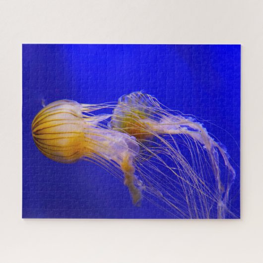 Jelly Fish Legpuzzel (Horizontaal)