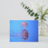 Jelly Fish - Monterey Bay, CA Briefkaart (Staand voorkant)
