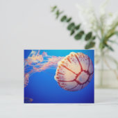 Jelly Fish Post Card Briefkaart (Staand voorkant)