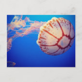 Jelly Fish Post Card Briefkaart (Voorkant)