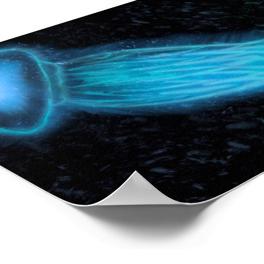 Jelly Fish Poster (Hoek)