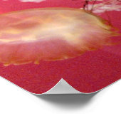 Jelly Fish Poster (Hoek)