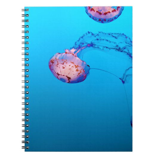 JELLY FISHES ONDERWATER NOTITIEBOEK (Voorkant)