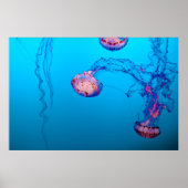JELLY FISHES ONDERWATER POSTER (Voorkant)