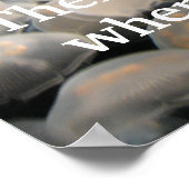 Jelly Jam Poster (Hoek)