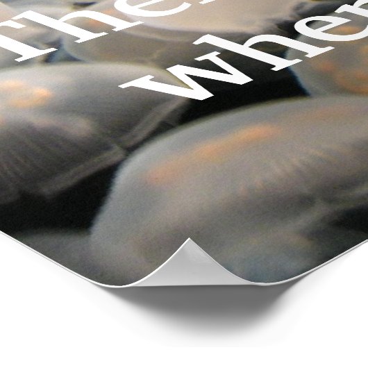 Jelly Jam Poster (Hoek)