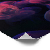 Jelly Love Poster (Hoek)