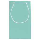Jelly Mint Green Spring Summer Trending Color Klein Cadeauzakje (Achterkant)