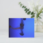 Jelly mix briefkaart (Staand voorkant)