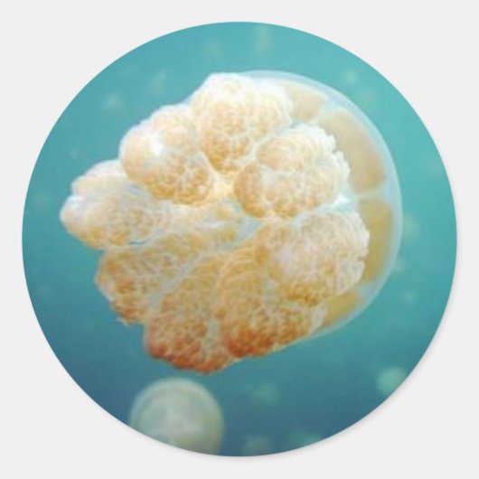 Jelly Ronde Sticker (Voorkant)