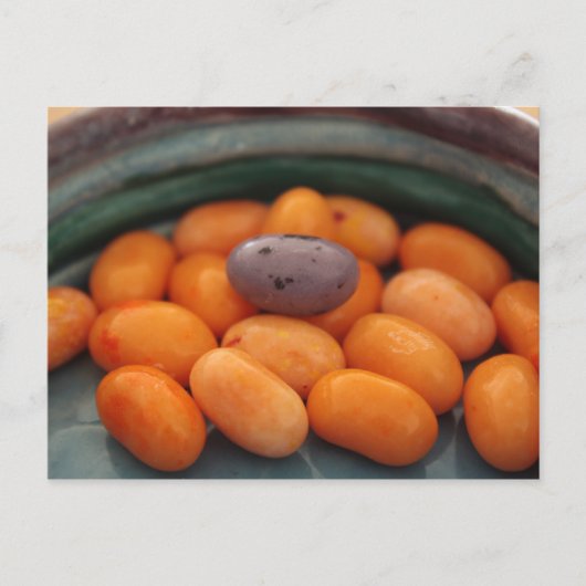 Jellyboon John 6:27 Briefkaart (Voorkant)