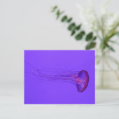 Jellyfish 3_ Special Fish Feestdagenkaart (Staand voorkant)