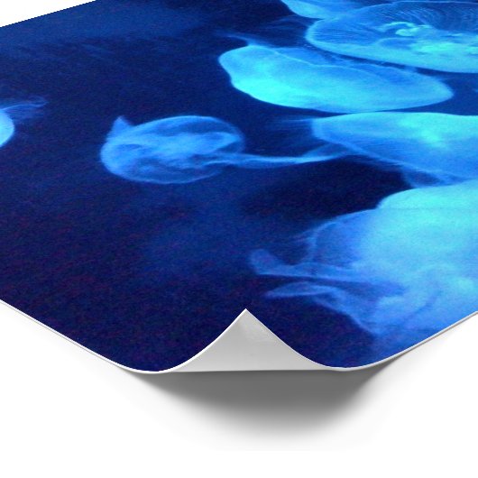 Jellyfish Bath Print (Hoek)