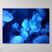 Jellyfish Bath Print (Voorkant)