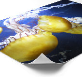 Jellyfish Blijf gewoon zwemmen Poster (Hoek)