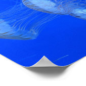 JELLYFISH BLUE OCEAN AQUATIC Life PHOTOGRAFIY Poster (Hoek)
