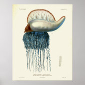 Jellyfish Blue Zee creaties Kunstafdrukken Poster (Voorkant)