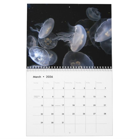 Jellyfish Custom Printed Calendar 2022 Kalender (Mar 2026)