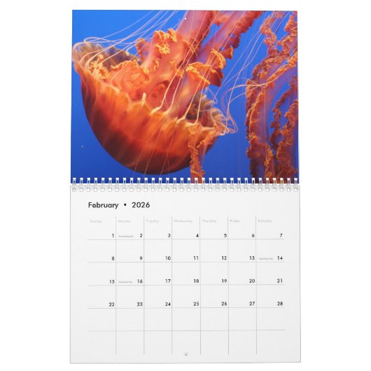 Jellyfish Custom Printed Calendar 2022 Kalender (Feb 2026)