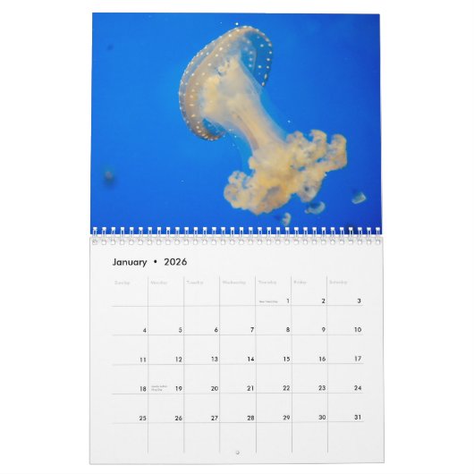 Jellyfish Custom Printed Calendar 2022 Kalender (Jan 2026)