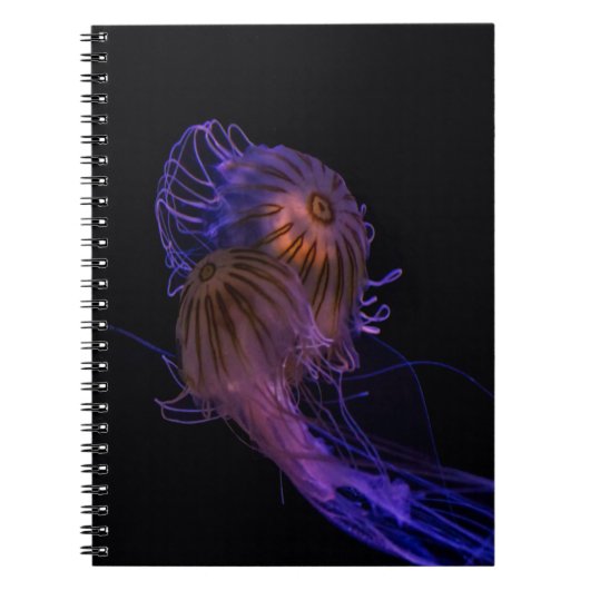 Jellyfish Dance Partners Notitieboek (Voorkant)