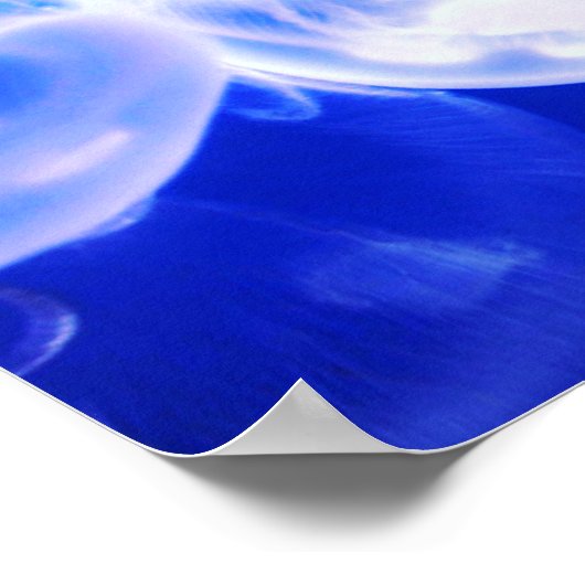 Jellyfish Deep Blue Poster (Hoek)