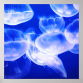 Jellyfish Deep Blue Poster (Voorkant)