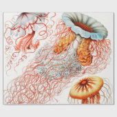 Jellyfish, Discomedusae, door Ernst Haeckel Cadeaupapier (Vlak)