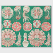 Jellyfish, Discomedusae, door Ernst Haeckel Cadeaupapier (Vlak)