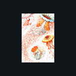 Jellyfish, Discomedusae, door Ernst Haeckel Canvas Afdruk<br><div class="desc">Jellyfish, Discomedusae Scheibenquallen door Ernst Haeckel Canvas Print</div>
