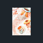 Jellyfish, Discomedusae, door Ernst Haeckel Canvas Afdruk<br><div class="desc">Jellyfish,  Discomedusae Scheibenquallen door Ernst Haeckel Canvas Print</div>