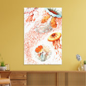 Jellyfish, Discomedusae, door Ernst Haeckel Canvas Afdruk (Insitu (Woonkamer))
