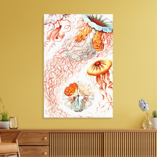 Jellyfish, Discomedusae, door Ernst Haeckel Canvas Afdruk (Insitu (Woonkamer))