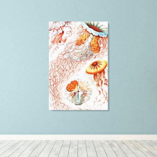Jellyfish, Discomedusae, door Ernst Haeckel Canvas Afdruk (Insitu (Houten vloer))