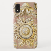 Jellyfish, Discomedusae, door Ernst Haeckel Case-Mate iPhone Case (Achterkant)