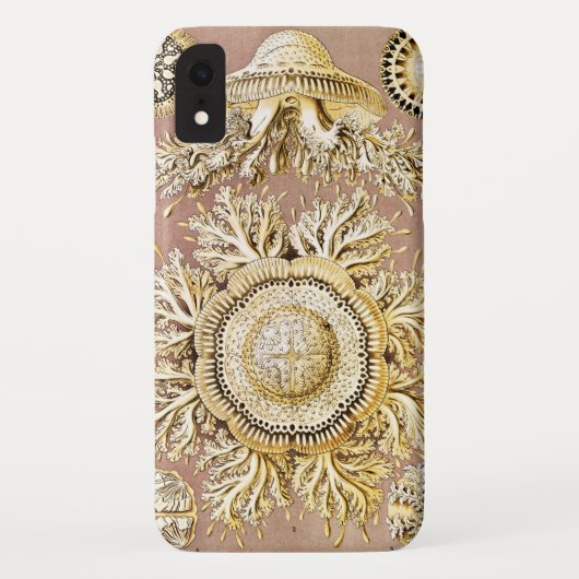 Jellyfish, Discomedusae, door Ernst Haeckel Case-Mate iPhone Case (Achterkant)