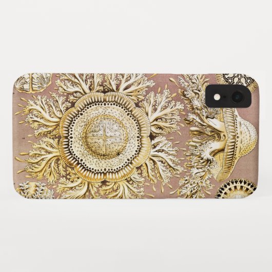 Jellyfish, Discomedusae, door Ernst Haeckel Case-Mate iPhone Case (Achterkant (horizontaal))
