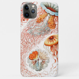 Jellyfish, Discomedusae, door Ernst Haeckel Case-Mate iPhone Case
