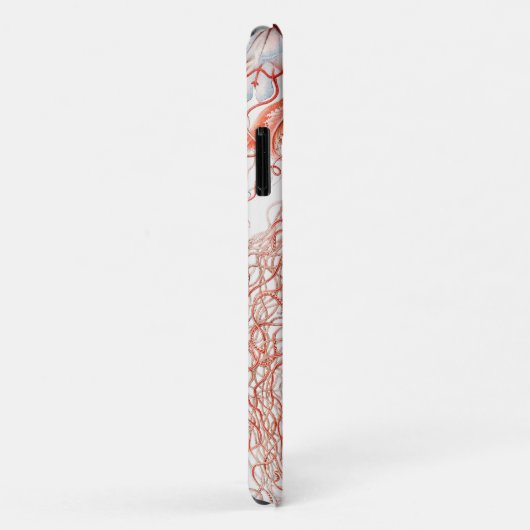 Jellyfish, Discomedusae, door Ernst Haeckel Case-Mate iPhone Case (Achterkant/rechts)