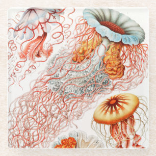 Jellyfish, Discomedusae, door Ernst Haeckel Glazen Onderzetter