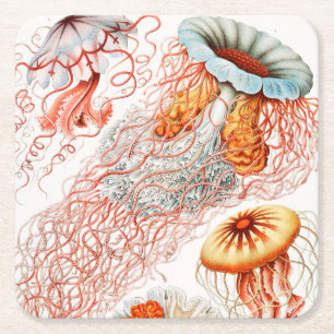 Jellyfish, Discomedusae, door Ernst Haeckel Kartonnen Onderzetters