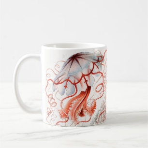 Jellyfish, Discomedusae, door Ernst Haeckel Koffiemok