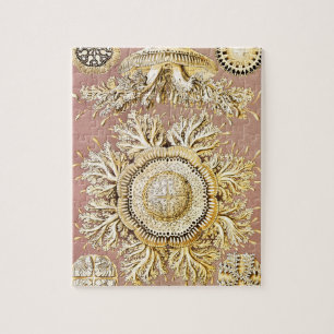 Jellyfish, Discomedusae, door Ernst Haeckel Legpuzzel
